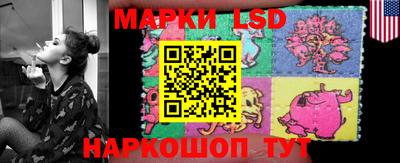 спайс Берёзовский