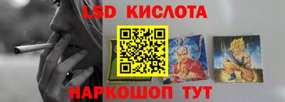 стафф Гатчина