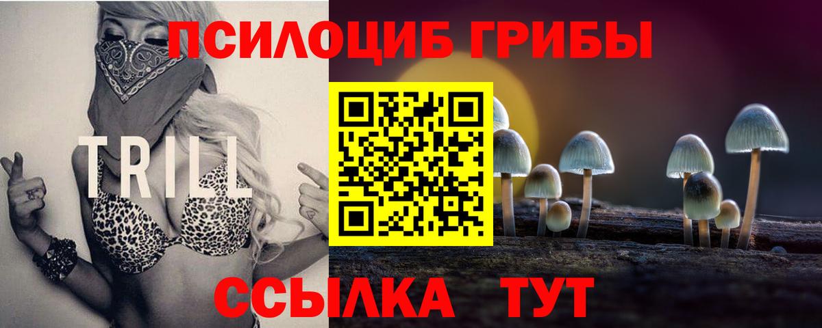 Иваново  Галлюциногенные грибы ЛСД  Вход с VPN  Галлюциногенные грибы мухоморы 